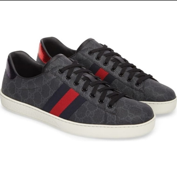 Gucci Other - GUCCI New Ace Webbed Low Top Sneaker